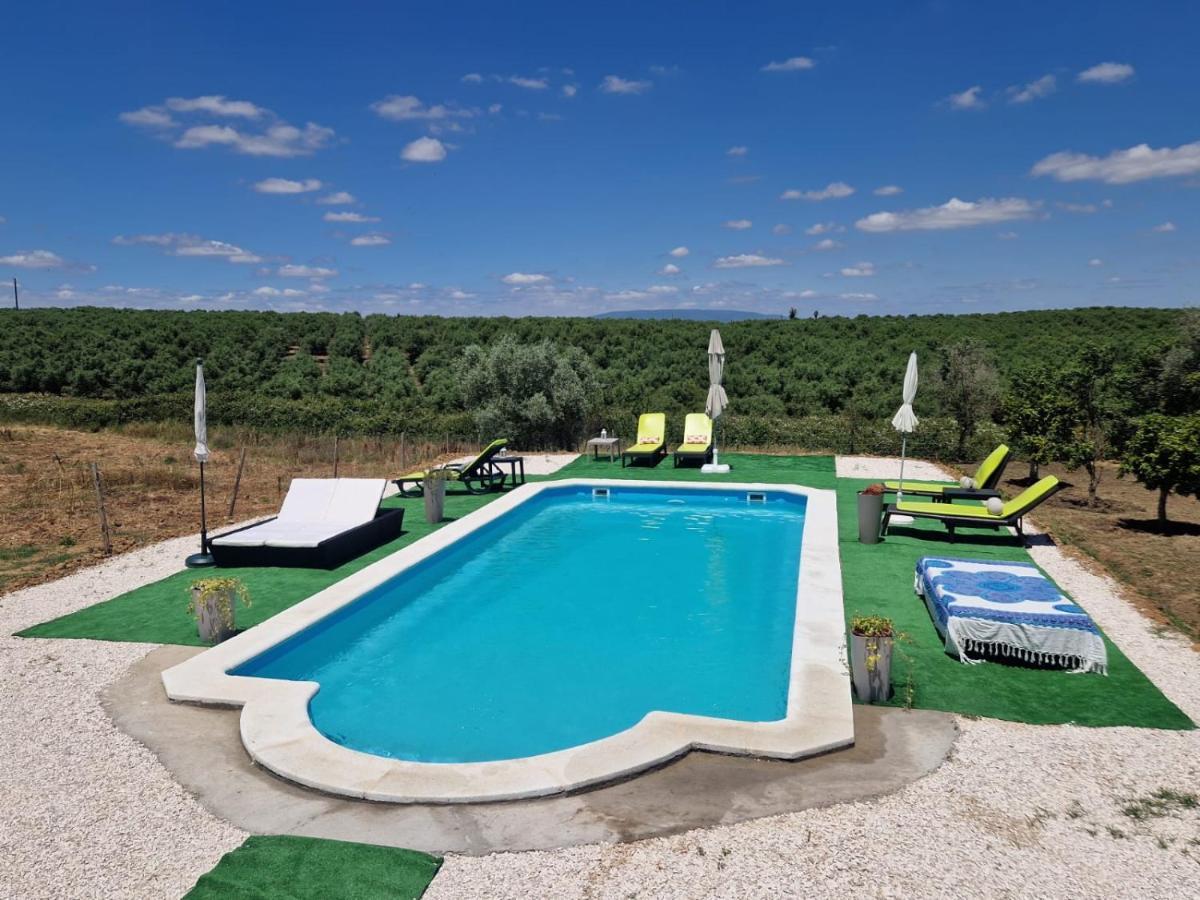 Casa Hnobre Apartment Santarem Bagian luar foto